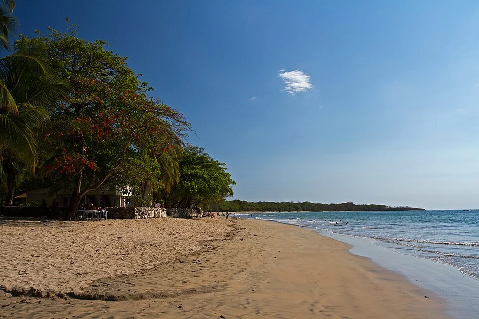 A curving sandy beach backed by trees, with light surf running in and a low forested headland in the distance.