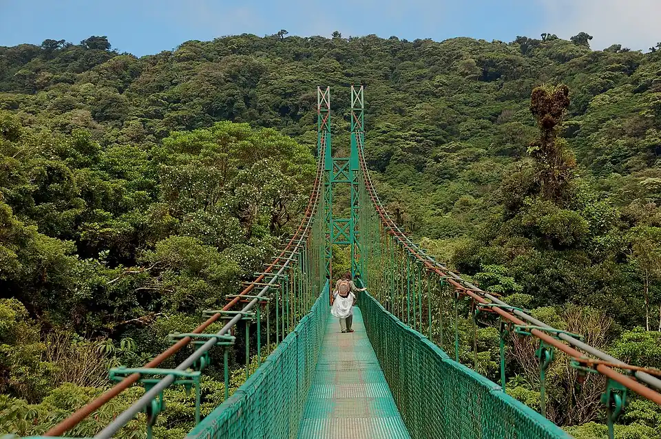 A walker crossing a green steel suspension bridge strung above the forest canopy at Monteverde.