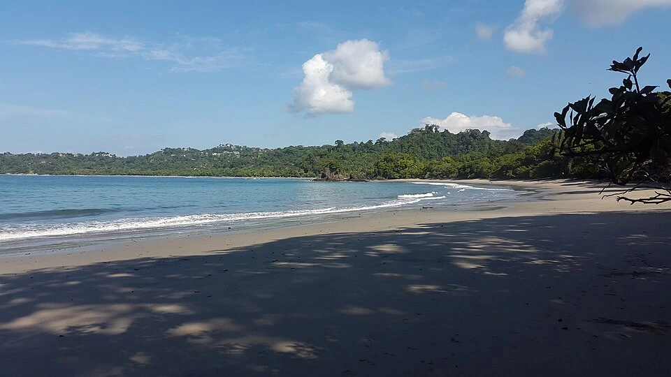 A curved sand beach with turquoise surf breaking, backed by forested hills under a blue sky with scattered cloud.