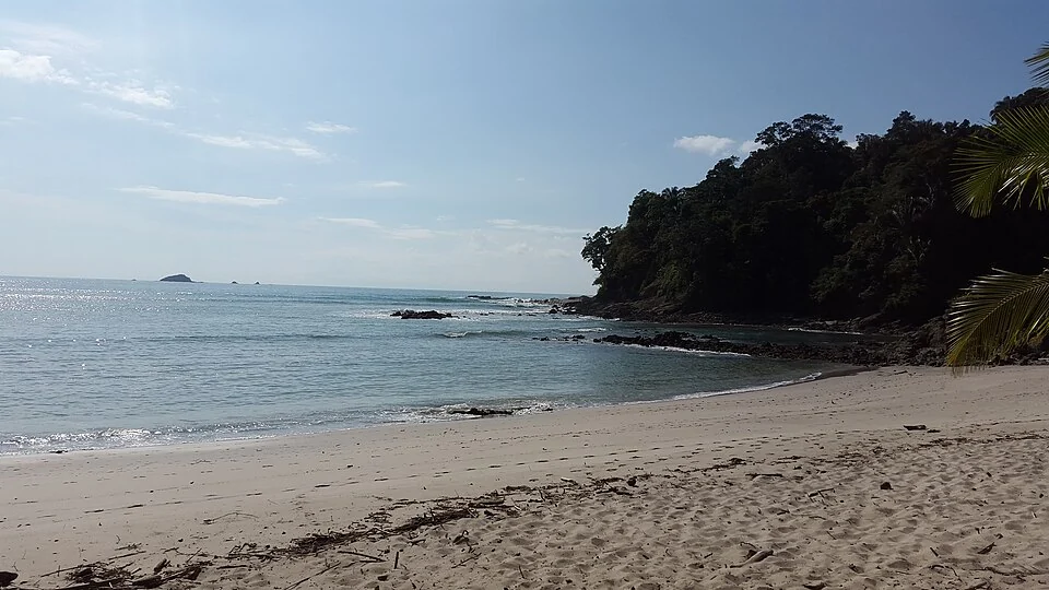 A sand beach curving to a forested headland, with small rocky islands visible offshore to the left.