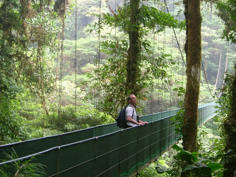 A person with a backpack stands on a narrow suspension bridge strung between mossy trees above cloud forest.
