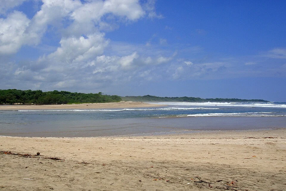 Sand, shallow water and a wooded shoreline inside Parque Nacional Marino Las Baulas, Guanacaste, with surf breaking beyond the sandbar.